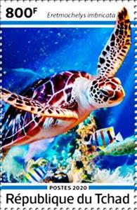 Stamp, Eretmochelys imbricata, Chad,  , Animals (Fauna), Turtles