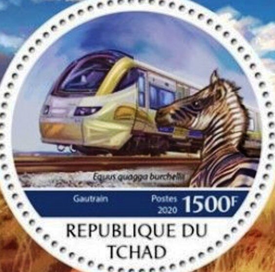 Gautrain; Equus quagga burchellii
