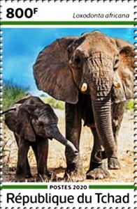 Stamp, Loxodonta africana, Chad,  , Animals (Fauna), Elephants