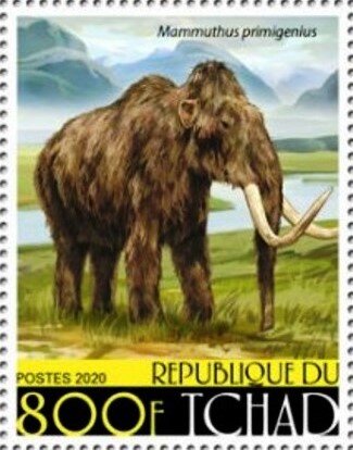 Mammuthus primigenius