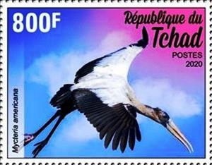 Stamp, Mycteria americana, Chad,  , Animals (Fauna), Birds, Storks