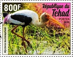 Stamp, Mycteria leucocephala, Chad,  , Animals (Fauna), Birds, Storks
