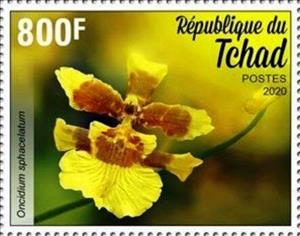 Stamp, Oncidium sphacelatum, Chad,  , Flowers, Orchids, Plants (Flora)