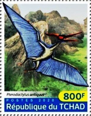 Pterodactylus antiquus