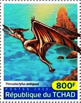 Pterodactylus antiquus