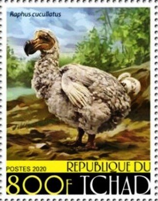 Raphus cucullatus