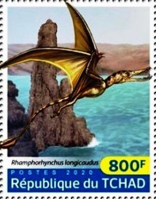 Rhamphorhynchus longicaudus