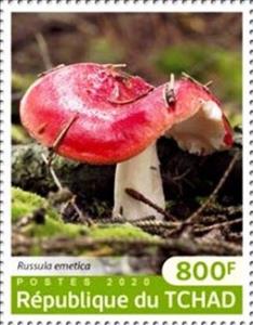 Stamp, Russula emetica, Chad,  , Mushrooms