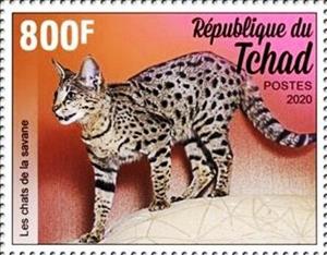 Stamp, Savannah Cat, Chad,  , Cats