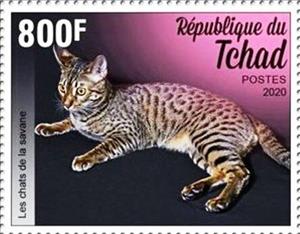 Stamp, Savannah Cat, Chad,  , Cats