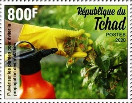 Spraying plants to prevent the spread of diseases