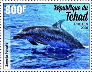 Stamp, Stenella frontalis, Chad,  , Animals (Fauna), Dolphins
