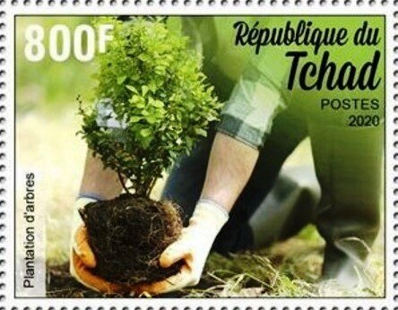 Tree planting