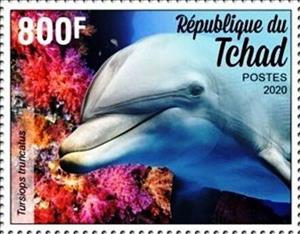 Stamp, Tursiops truncatus, Chad,  , Animals (Fauna), Dolphins