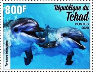 Stamp, Tursiops truncatus, Chad,  , Animals (Fauna), Dolphins
