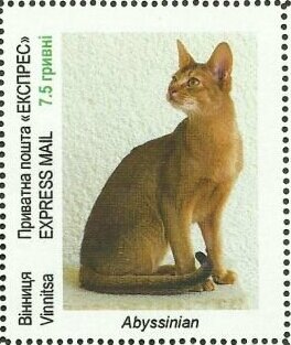 Breeds of cats