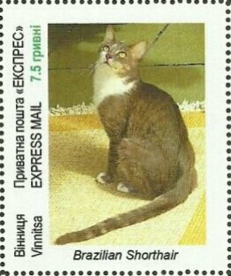 Breeds of cats