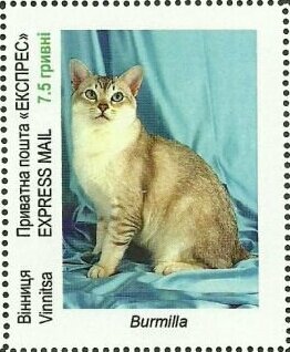 Breeds of cats
