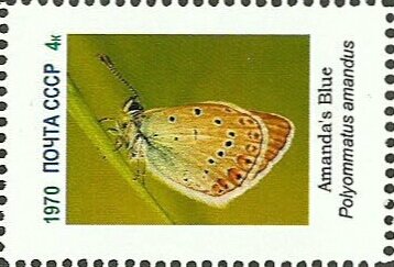 Stamp, Butterflies, Cinderellas,  , Butterflies, Insects