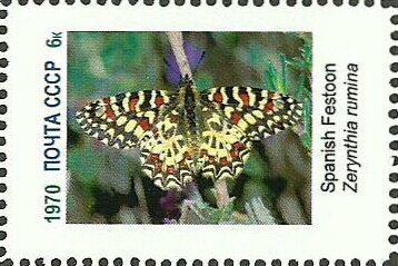 Stamp, Butterflies, Cinderellas,  , Butterflies, Insects