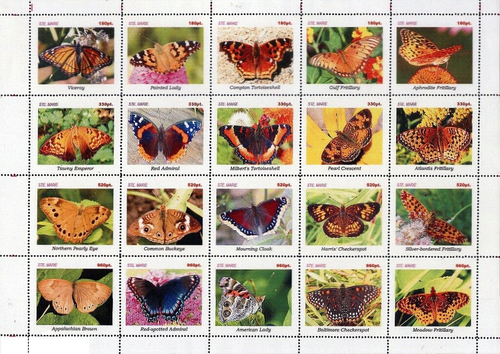 Butterflies