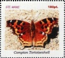Butterflies