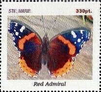 Butterflies