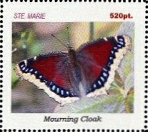 Butterflies