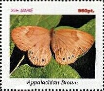 Butterflies