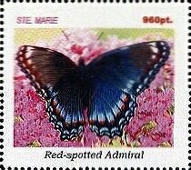 Butterflies
