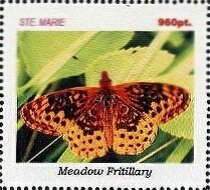 Butterflies