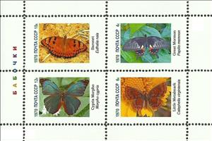 Mini Sheet, Butterflies, Cinderellas,  , Butterflies, Insects