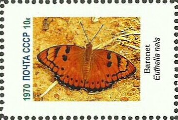 Stamp, Butterflies, Cinderellas,  , Butterflies, Insects