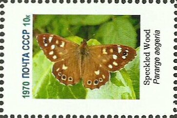 Mini Sheet, Butterflies, Cinderellas,  , Butterflies, Insects