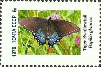 Mini Sheet, Butterflies, Cinderellas,  , Butterflies, Insects