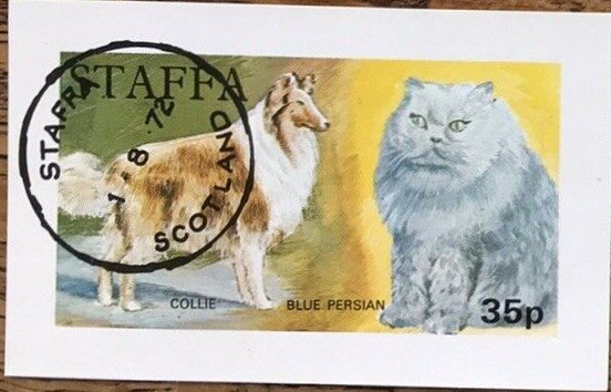 Collie and Blue Persian