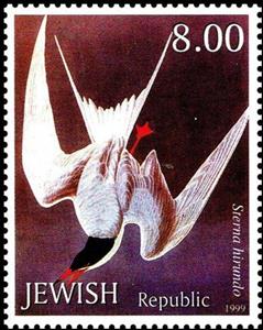 Stamp, Common tern, Cinderellas,  , Birds