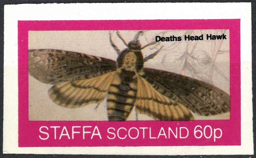 Deaths Head Hawk