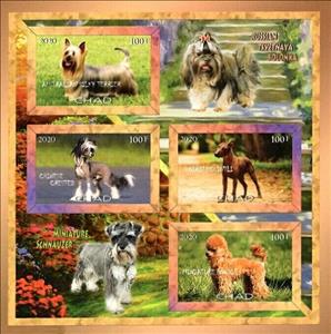 Mini Sheet, Dog breeds, Cinderellas,  , Animals (Fauna), Dogs