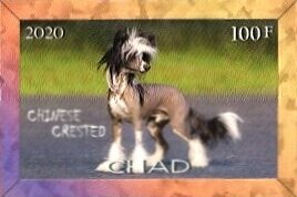Stamp, Dog breeds, Cinderellas,  , Animals (Fauna), Dogs