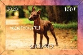 Stamp, Dog breeds, Cinderellas,  , Animals (Fauna), Dogs