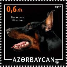 Stamp, Dog breeds, Cinderellas,  , Animals (Fauna), Dogs