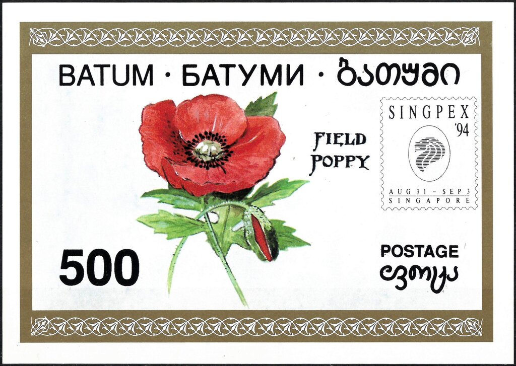 Field Poppy