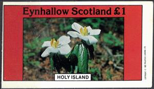 Souvenir Sheet, Flowers, Cinderellas,  , Flowers, Plants (Flora)