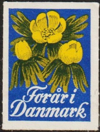 Forari. Water Butterercup