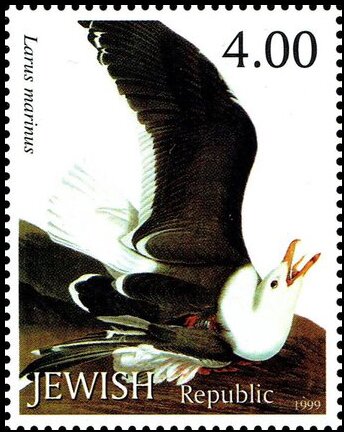 Great black-backed gull