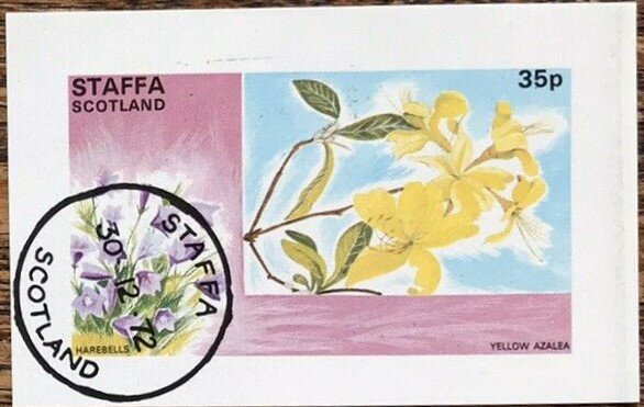 Harebell and Azalea
