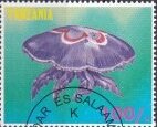 Marine Jellyfish