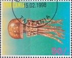 Marine Jellyfish