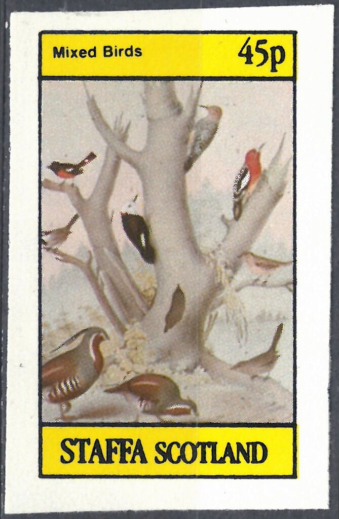 Mixed Birds